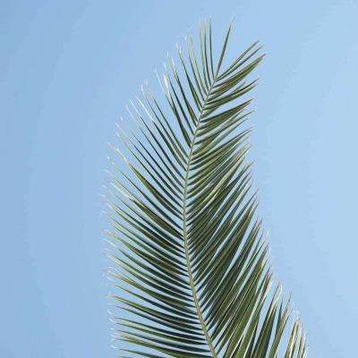 极速赛车社区合作平台