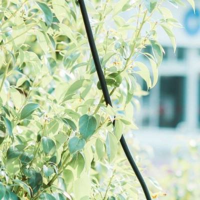 澳门捕鱼平台网页游戏在线app官方入口