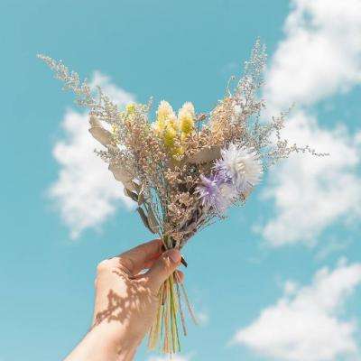 半岛网页版入口官网